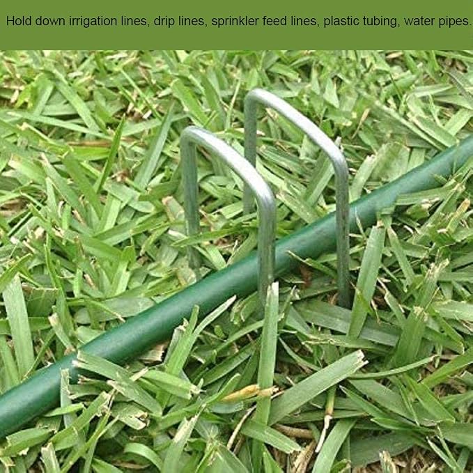 Landscape Staples 6 Inch Galvanized Anti-Rust Garden Stakes 11 Gauge | 200 Pack Sod Yard Pins Heavy Duty Lawn Stake for Fence, Weed Barrier Fabric, Ground Cover, Ground Decorations, Chicken Wire
