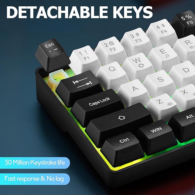 Guiheng Wired Portable 60% Mechanical Gaming Keyboard,RGB LED Backlit Compact 68 Keys Mini Wired Office Keyboard with Red Switch for Windows Laptop PC Mac - White