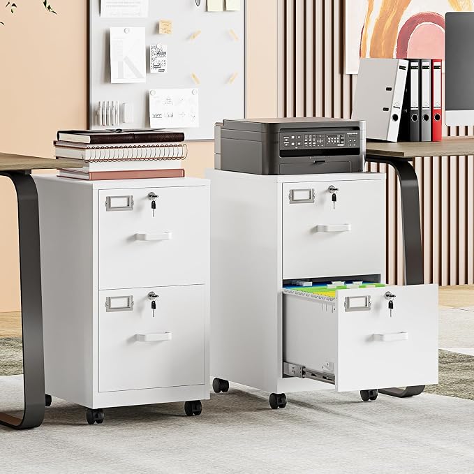 MIIIKO 2 Drawer File Cabinet with Lock, Metal Vertical Filing Cabinets for Home Office, Lockable File Storage Cabinets Under Desk, A4/Letter File Folders Storage-Assembly Required