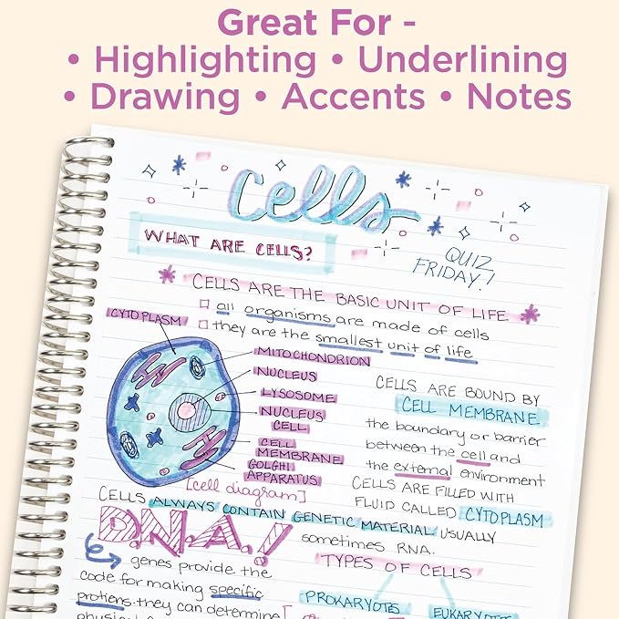 Zebra Pen MILDLINER No Bleed Highlighter, Assorted Colors, Dual Tip, 25-Pk