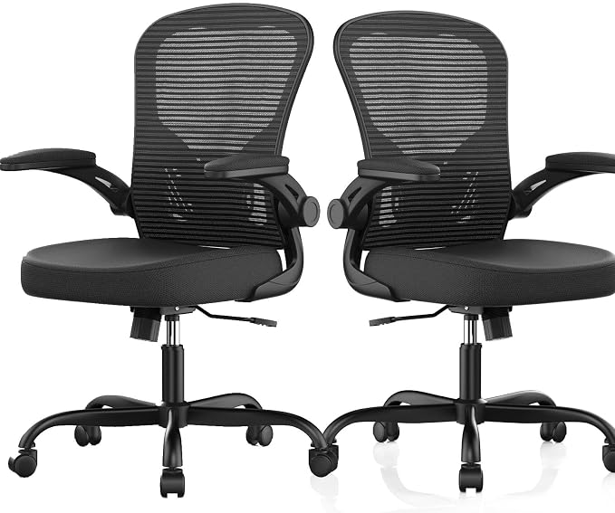 Office Chair|Ergonomic Desk Chairs (Pack of 2) | Flip-up Armrests,Mesh Computer Chair,High Back,Comfy Work,Adjustable Lumbar Support