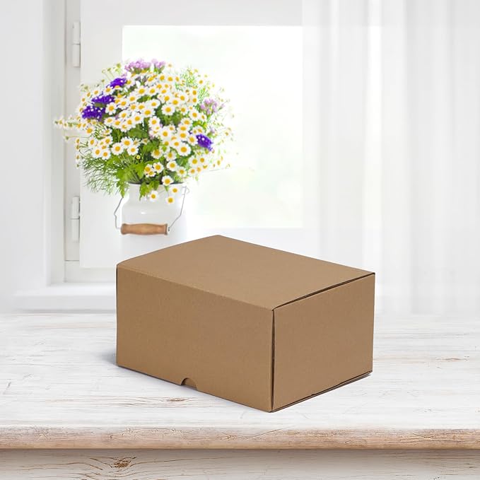 HORLIMER 8x6x4 inches Shipping Boxes Set of 25, Brown Corrugated Cardboard Box Literature Mailer