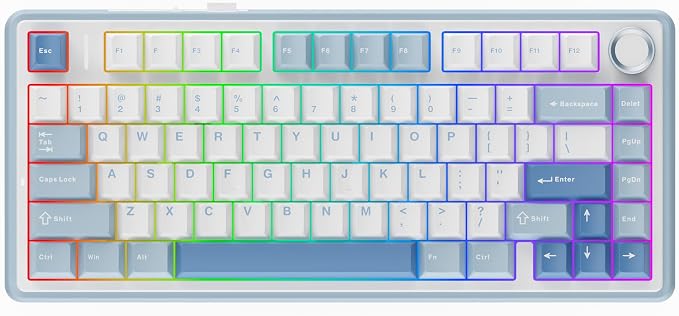 EPOMAKER x Aula F75 Gasket Mechanical Keyboard, 75% Wireless Hot Swappable Gaming Keyboard with Five-Layer Padding&Knob, BT/2.4GHz/USB-C, RGB (Sea Salt Blue, LEOBOG Reaper Switch)