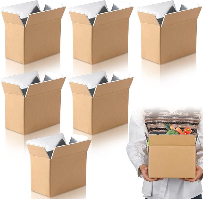 Insulated Shipping Box Cold Double Insulated Carton with Foil Foam Cooler Boxes Delivery Moving Kits Foam Shipping Containers for Mailing Packing, Box Inside 8.7'' x 4.5''x 6.1''(6 Pcs)