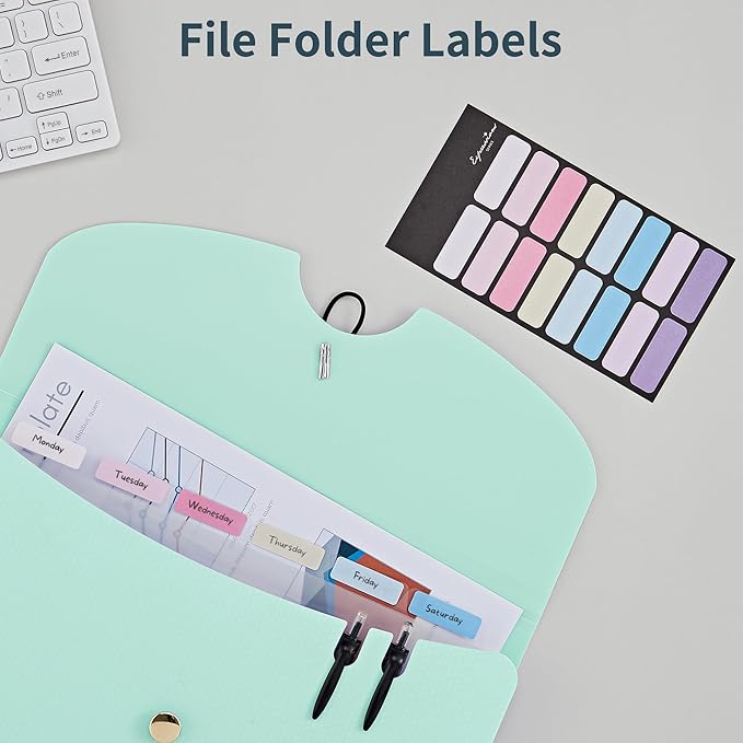 JARLINK 7 Pockets Expanding File Folder, A4 Accordion File Folders with 12 Labels, Cute Paper Organizer, Portable Document Organizer for College School Office Supplies, Macaron Blue & Macaron Pink