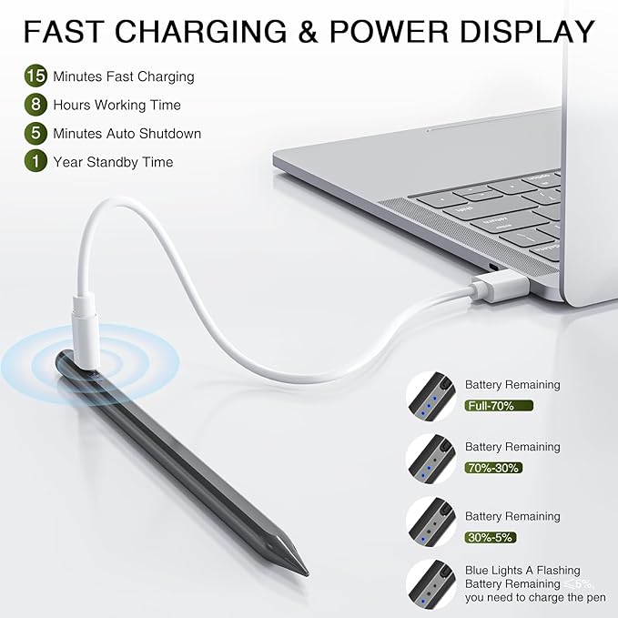 Stylus Pen for iPad 2018-2025, 15 Mins Fast Charging Pencil (1st Generation) with Tilt Sensitivity Magnetic Digital Pens for iPad 6-11, Air 3/4/5/M2/M3, Mini 5/6/7, Pro 11"/12.9"/M4/M5 (Black)