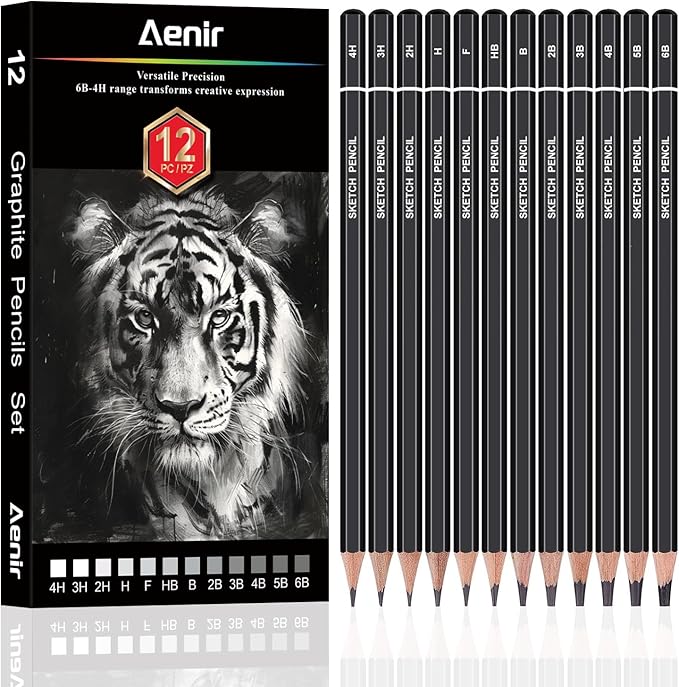 Sketch Pencils for Drawing, Set of 12 Drawing Pencils for Sketching Medium (6B - 4H), Artist Graphite Pencils, Sketch Set for Artists for Sketching Supplies, Art Supplies.
