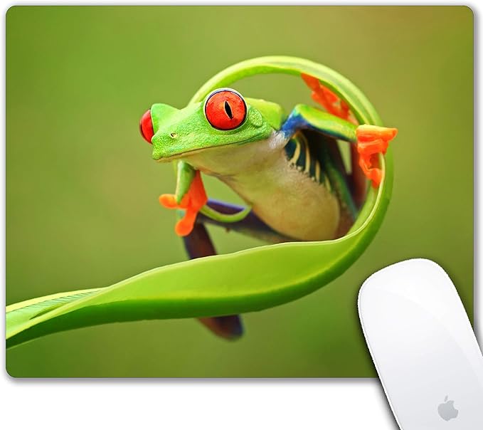 Green Mouse Pad Cute Frog Design Computer Laptop Mouse Pad Kawaii Office Decoration with Anti-Slip Rubber Base Washable Small Mousepad 9.5 X 7.9 Inch