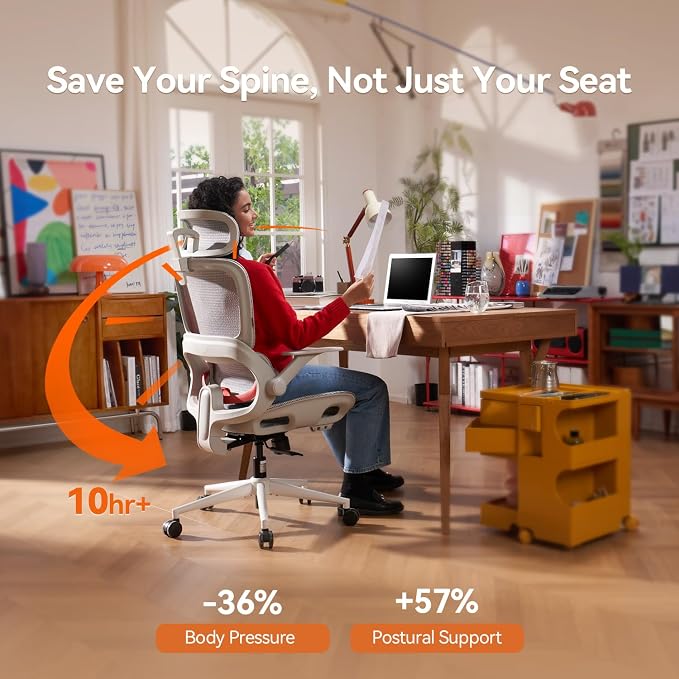 SIHOO B100 Mesh Ergonomic Office Chair with Adaptive Lumbar Support | Desk Chair with Wide Headrest, Flip-up Armrests, Swivel Desk Chair for Long Hours, Grey