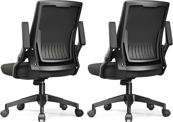 GTPLAYER Ergonomic Office Chair with Flip-up Armrests Executive Computer Chair for Home Office, Breathable Mesh & Comfy Lumbar Support, Pack of 2, Black