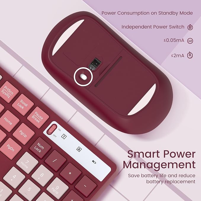 Wireless Keyboard and Mouse Combo, Lovaky 2.4G Full-Sized Ergonomic Keyboard Mouse, 3 DPI Adjustable Cordless USB Keyboard and Mouse, Quiet Click for Computer/Laptop/Windows/Mac (1 Pack, Rose) | Ergonomic, Low profile Keys, 3 DPI Adjustable, 2.4G Quiet...