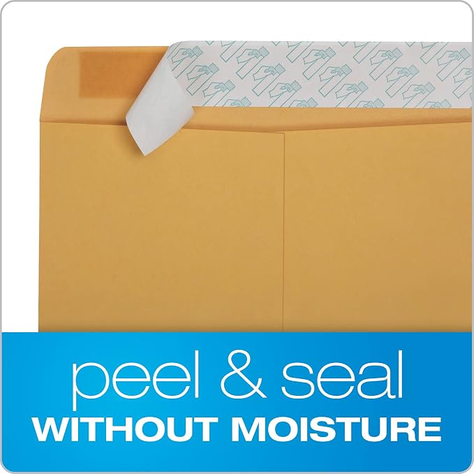 Quality Park 9" x 12" Self-Seal Catalog Envelopes, for Mailing, Organizing and Storage, Brown Kraft, Heavy 28-lb Paper, 100 Per Box (QUA44562) (Pack of 2)