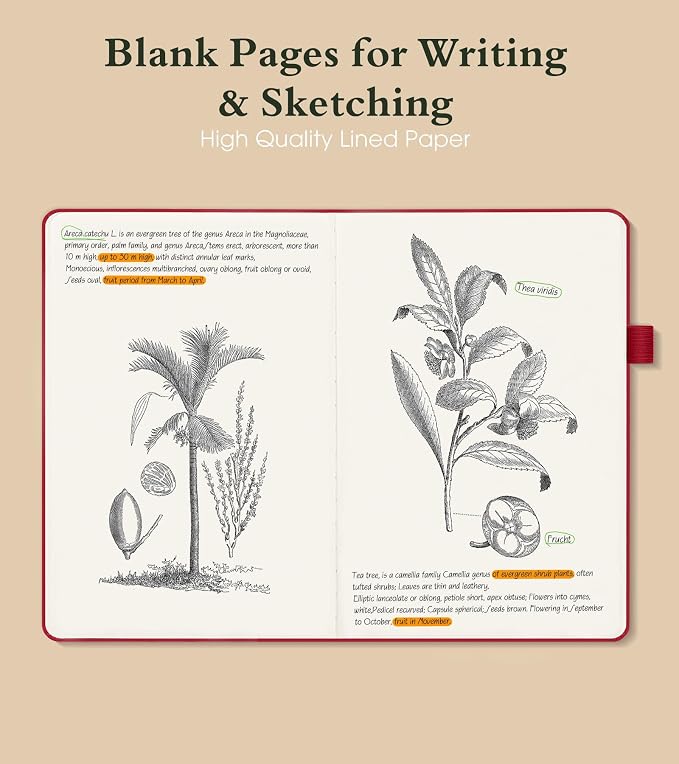 PAIBAS Blank Journal Notebook for Women Men,160 Pages,A5 Hardcover Sketchbook for Drawing, Sketch book, Unlined Notebooks for School,Work, Note Taking,Travel Journals for Writing 5.8"x8.5" (Burgundy)