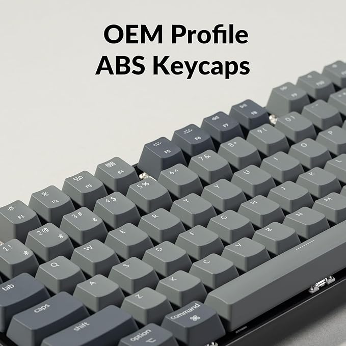Keychron K8 Tenkeyless Wireless Mechanical Keyboard for Mac, White Backlight, Bluetooth, Multitasking, Type-C Wired Gaming Keyboard for Windows Red Switch
