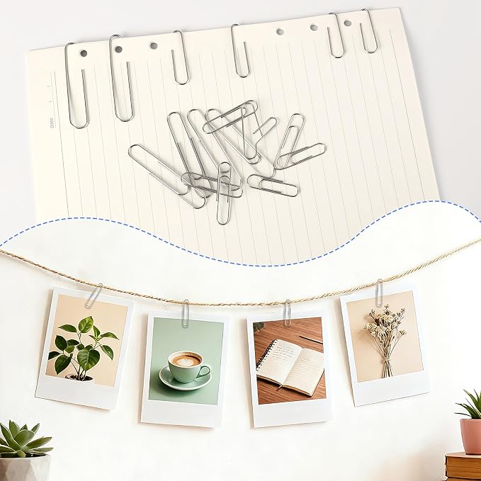 SANNIX 500Pcs Paper Clips and Binder Clips Assorted Sizes, Paper Clips | Black Binder Clips with Large Medium Small Size in Container, for Office Home School Supplies, Document Organizing