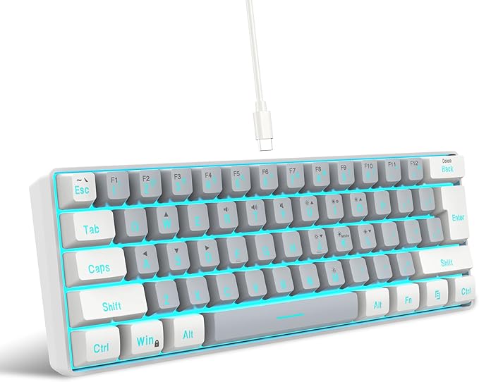 Snpurdiri 60% Wired Gaming Keyboard, SmallUltra-Compact 61 Keys RGB Backlit 60 Percent Gaming Keyboard for PC/Mac Gamer, Typist, Travel, Easy to Carry on Business Trip(White-Grey)