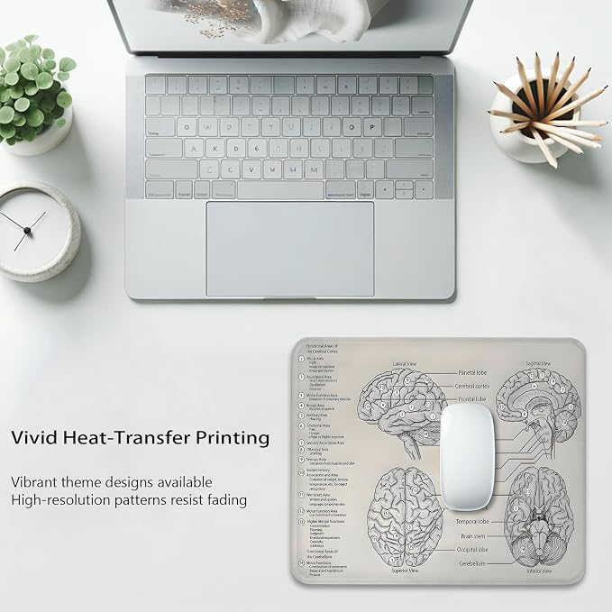 Biology Diagram of Human Brain Anatomy Mouse Pad, Science Durable Desk Mat | Cute Mousepad Stitched, Anti-Slip Base Smooth Surface, 9.5 x 7.9 Inches