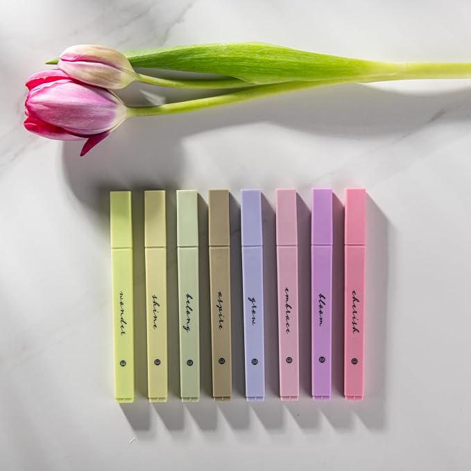 DIVERSEBEE Bible Highlighters with Soft Chisel Tip, No Bleed (Figs) | 8 Pack Assorted Colors Pens, Quick Dry, Cute Aesthetic Markers, Bible Study Journaling Supplies and Accessories