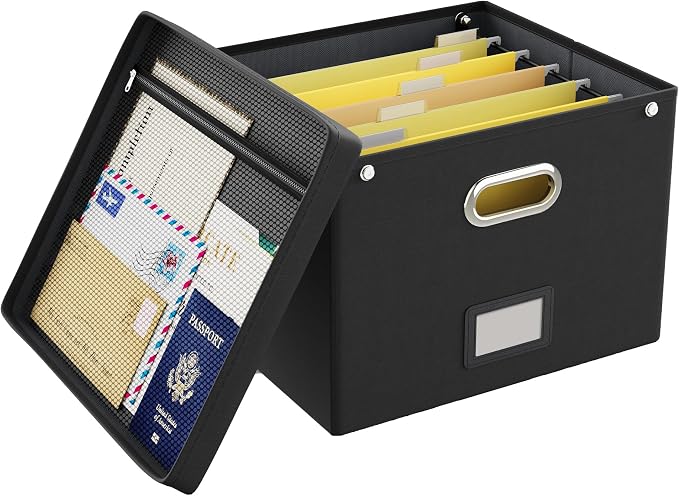 File Organizer Box with Lid,Large Hanging Filing Box with Mesh Pocket, Document c for Letter Files, Portable Storage Case with Smooth Sliding Rail for Office&Home (1 PCS, Black)