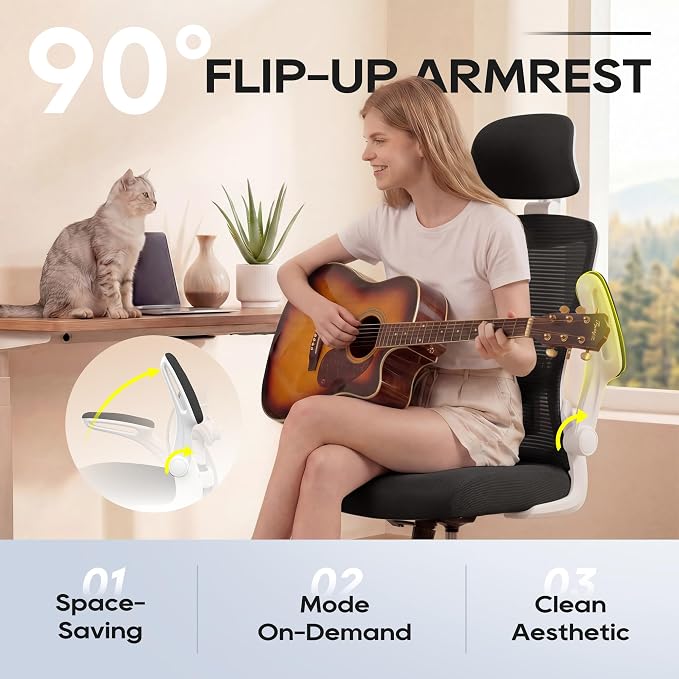 Ergonomic Office Chair for Long Hours, Padded Lumbar Support for Lower Back Relief, 330 lb Capacity, Comfortable Computer Desk Chair for Home Office, Computer & Study (Modern, White/Black)