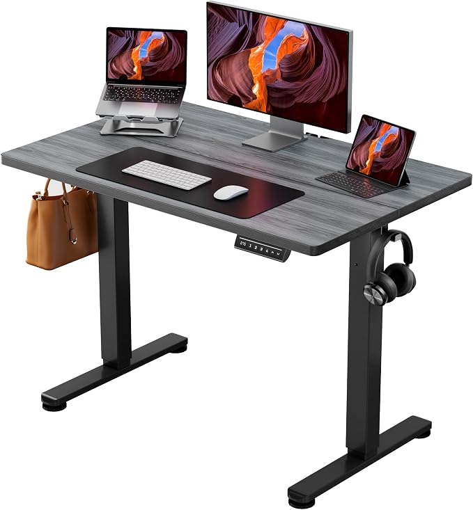 ErGear Height Adjustable Electric Standing Desk, 40 x 24 Inches Sit Stand up Desk, Memory Computer Home Office Desk, Grey