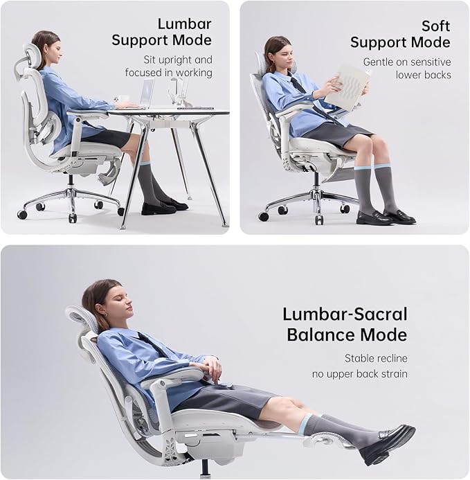 SIHOO Doro C300 Pro V2 Ergonomic Office Chair with Footrest, 2 Packs, Grey | Full-Body Adaptive Support, 8D Armrests & Breathable Mesh, Comfy High Back Computer Desk Chair for Long Hours, 135° Recline