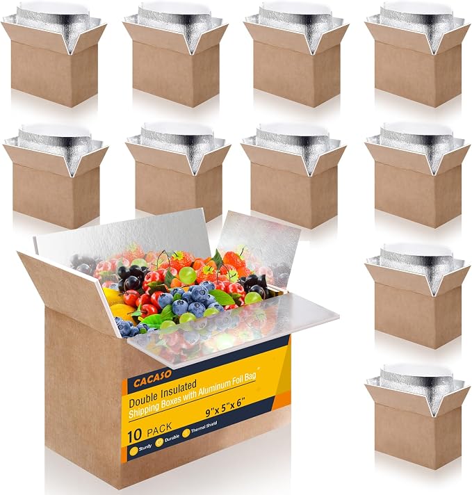 10 Pack Shipping Boxes, Double Insulated, 9 x 6 x 5 Inch | Cold Shipping Boxes with Aluminum Foil Insulated Bag, Styrofoam Box for Shipping Frozen Food, Mailing, Packing and Moving