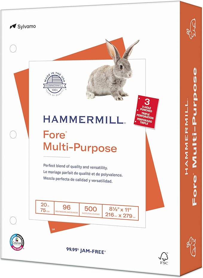 Hammermill Printer Paper, Fore Multipurpose 20 lb Copy Paper, 3 hole - 1 Ream (500 Sheets) - 96 Bright, Made in the USA