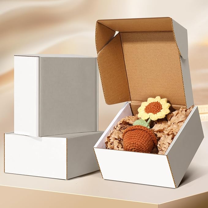 Shipping Boxes, White Corrugated Cardboard Boxes Literature Mailer Boxes Gift Boxes Small Boxes for Shipping Wrapping Mailing Packaging Small Business (White, 9" x 6" x 4"/10 Pack)
