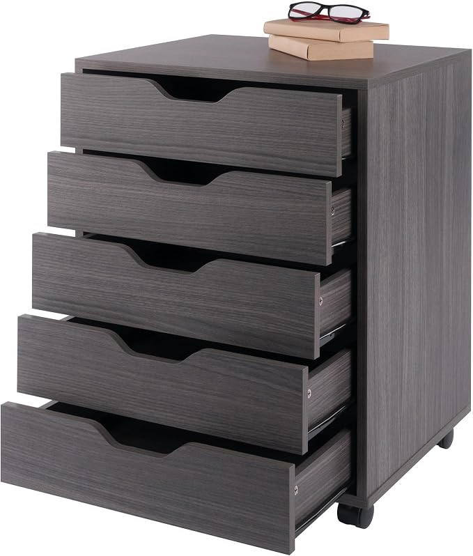 Winsome Halifax Mobile Storage Cabinet with Doors & Drawers, Stylish & Functional Home Storage Cabinet for Filing, Kitchen Organization, Moveable Furniture for Office, Dorms, Apartments