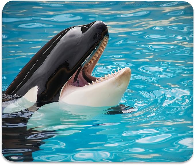 Orca Killer Whale Mouse Pad, Bright Blue Ocean Water Cute Desk Mat | Marine Wildlife Stitched Mousepad, Anti-Slip Base Smooth Surface, 9.5 x 7.9 Inches
