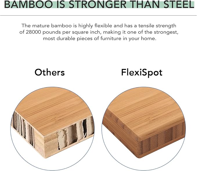 FlexiSpot E6 Bamboo 3-Stage Dual Motor Electric Standing Desk 55 x 28 Sit Stand Up Desk, Holds 220 lbs, Adjustable Height w/ Memory Presets, Solid Bamboo Desktop & Black Frame, Ships in 2 Boxes