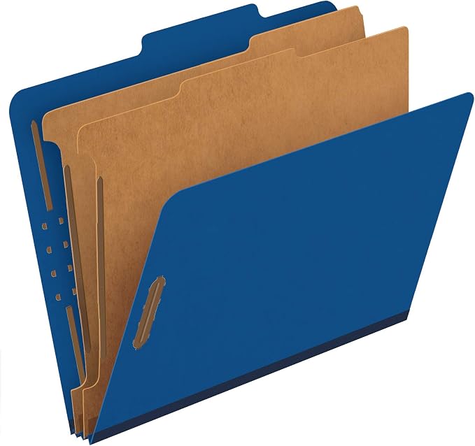 Pendaflex Classification File Folders,1 Divider, Durable File Organizer for Home, School or Office, Letter-Size Folders for Files, Paper Organizer, Durable Prongs, (B006NVMJCC)
