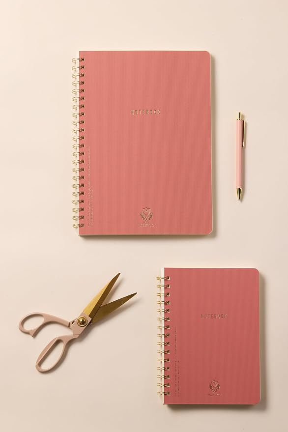 DesignWorks Ink Textured Twin Wire Notebook, Terracotta, 6 x 8.25 in | Daily Planner & Soft Cover Writing Journal, 160 Lined Perforated Pages, Small Spiral Notebook for Work & Journaling