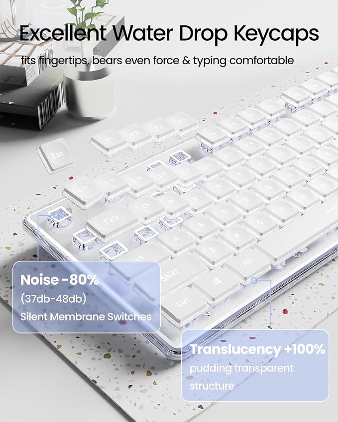 Wireless Keyboard and Mouse Combo with White Backlit Pudding Keycaps | Bluetooth & 2.4G Dual Mode, 2000mAh Rechargeable Full Size Quiet Computer Keyboard for Windows PC Desktop, White, EWEADN