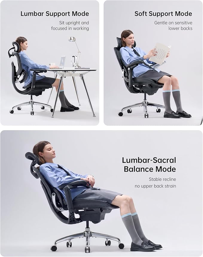 SIHOO Doro C300 Pro V2 Ergonomic Office Chair, Full-Body Adaptive Support | 8D Armrests & Breathable Mesh, Comfy High Back Computer Desk Chair for Long Hours, 135° Recline, Black
