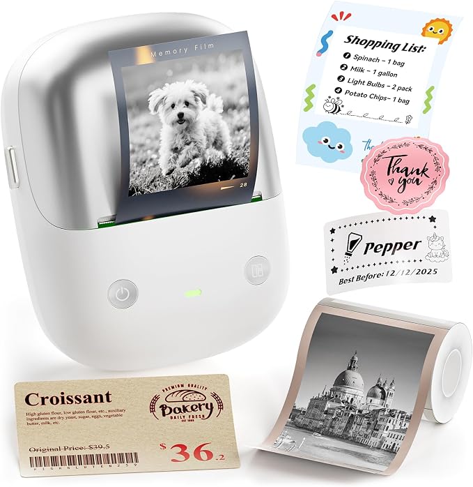NIIMBOT B2 Pro Portable Label Maker, Thermal Label Printer with Fun APP | 300 DPI High Definition Bluetooth Label Maker Machine for Photos, Scrapbook, Home,School Organization (Silver)