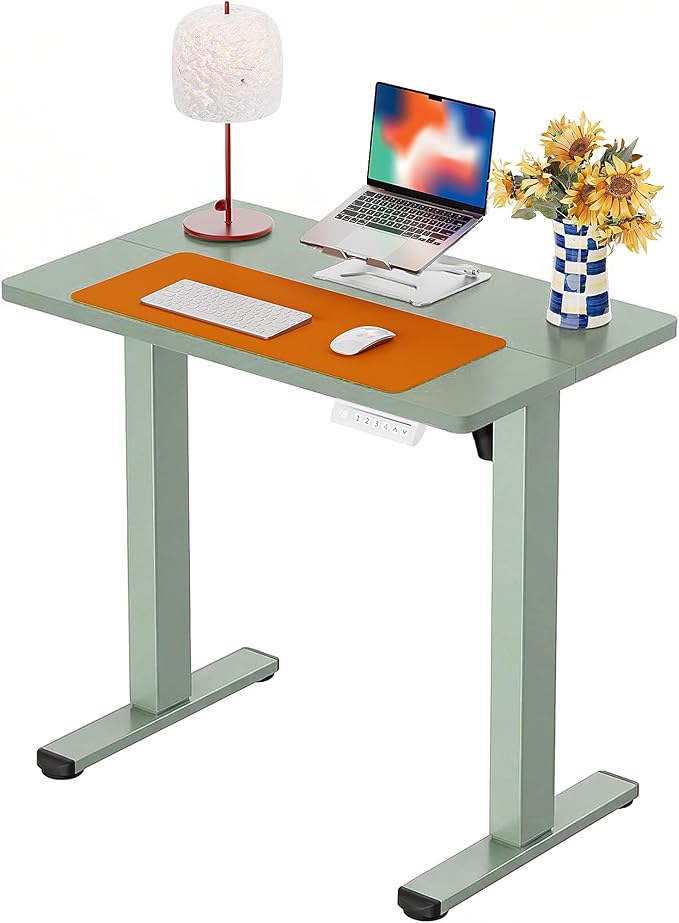 ErGear Height Adjustable Electric Standing Desk, 32 x 19 Inches Sit Stand up Desk, Memory Computer Home Office Desk,Green