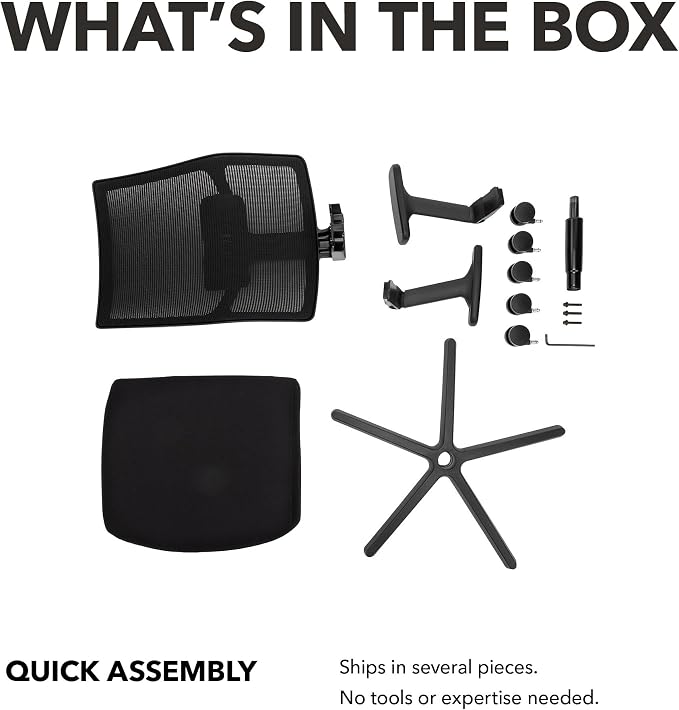 HON Ignition 2.0 Ergonomic Office Chair, Lumbar Support, Bullseye