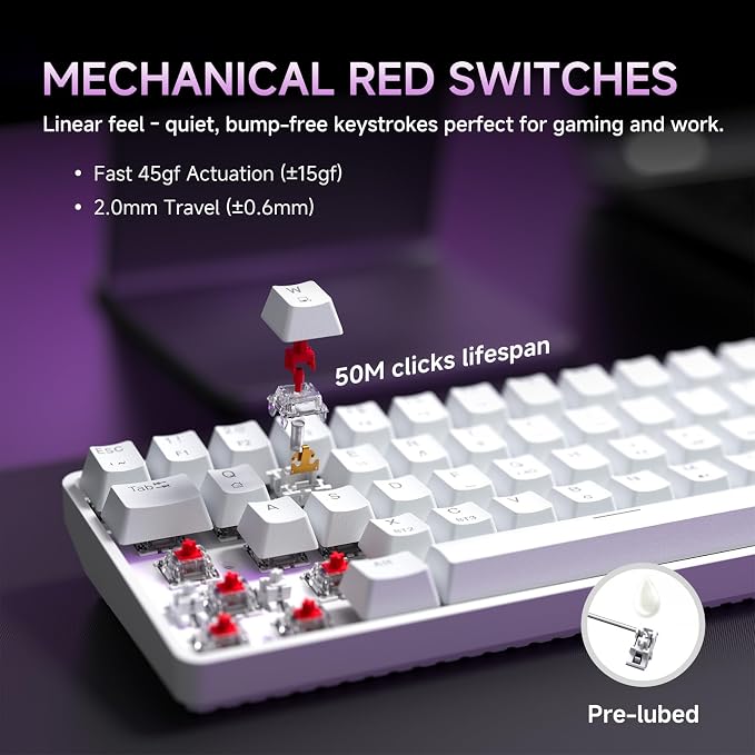 DIERYA DK68 60% Wireless Mechanical Gaming Keyboard, 3-Mode, Bluetooth 5.0/2.4G/USB-C, RGB Backlit, 68-Key Compact Mini for Windows, Mac, Linux - Linear Red Switch - White