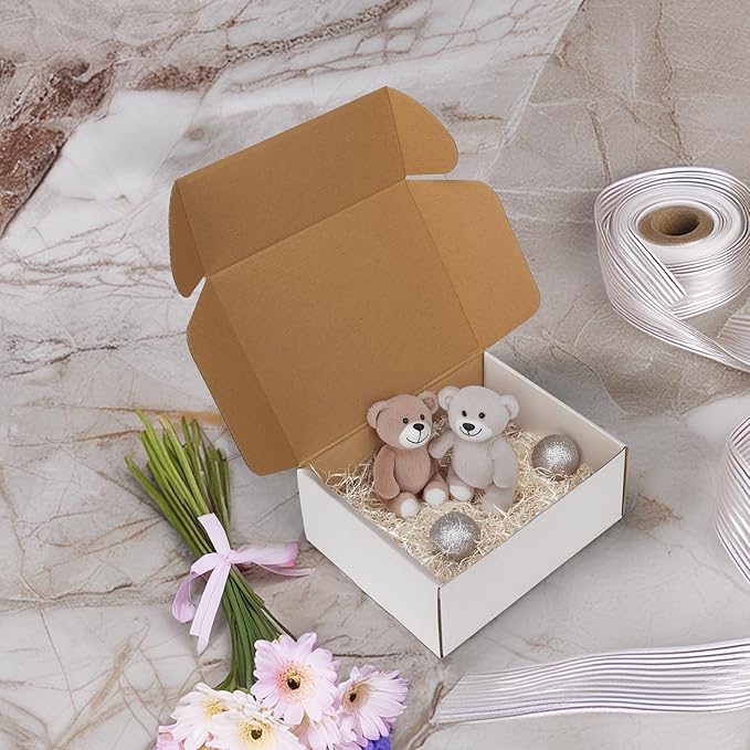 HORLIMER 10x8x4 inches Shipping Boxes Set of 20, White Corrugated Cardboard Box Literature Mailer