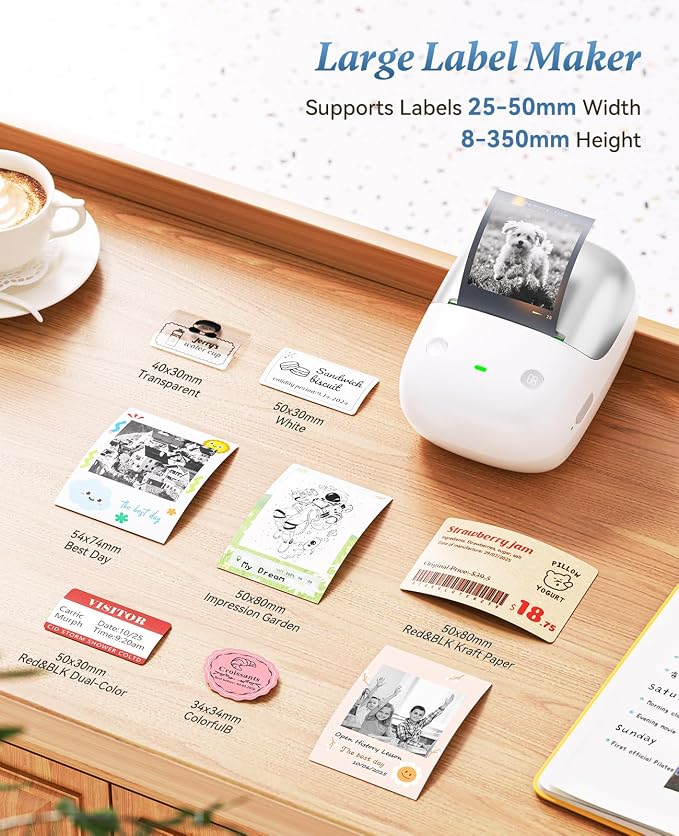 NIIMBOT B2 Pro Portable Label Maker, Thermal Label Printer with Fun APP | 300 DPI High Definition Bluetooth Label Maker Machine for Photos, Scrapbook, Home,School Organization (Silver)