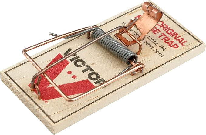 Victor Mouse Traps M150-12, Metal Pedal, Sustainably Sourced FSC Wood, Wooden Mouse Traps - Pack of 12