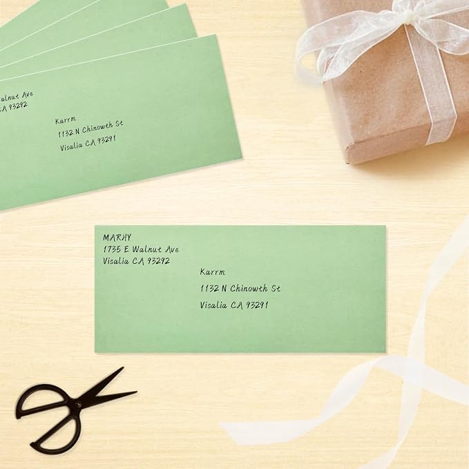 100 Pack #10 Business Envelopes, Sage Green Standard Envelopes Self Seal, Letter Size Mailing Envelopes for Checks Letters Invoices Statements Birthday Graduation Wedding, 4 1/8 x 9 1/2 Inch