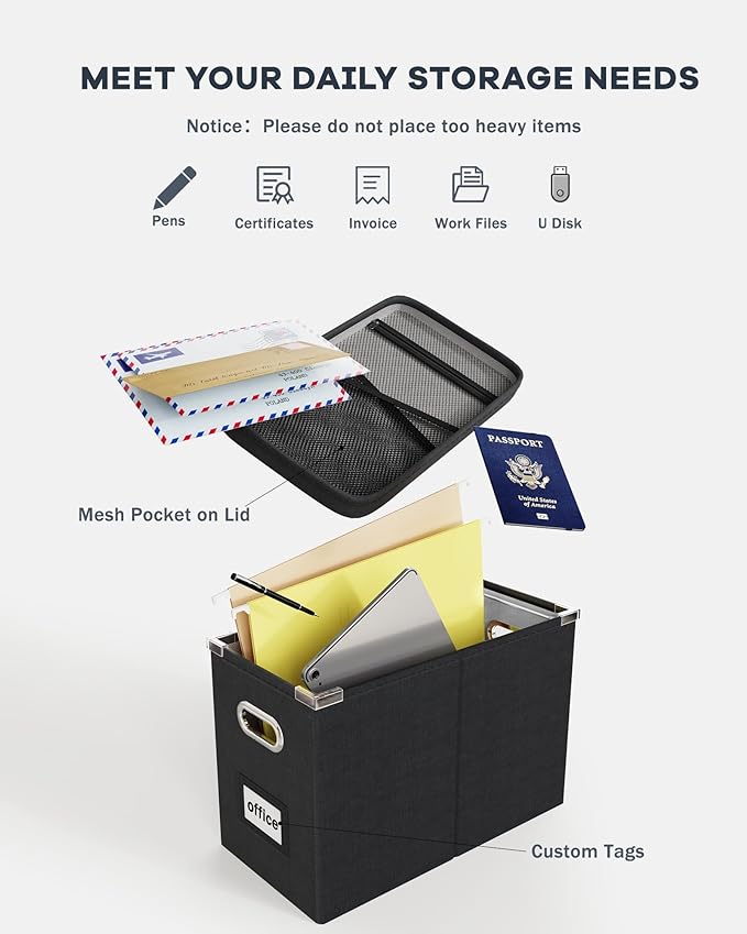 File Organizer Box with Lid, Hanging Filing File Box with Mesh Pocket, Document Organizer Box for Letter Files, Portable Storage Box with Smooth Sliding Rail for Office&Home (2 PCS, Black)
