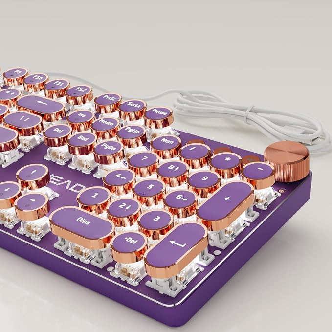 EWEADN Wired Typewriter Mechanical Keyboard, Low Noise Pink Switch Retro Punk Keyboard with Media Knob, White Backlit, Metal Panel, 104-Key Round Keycaps Cute Keyboard for Windows PC -Purple