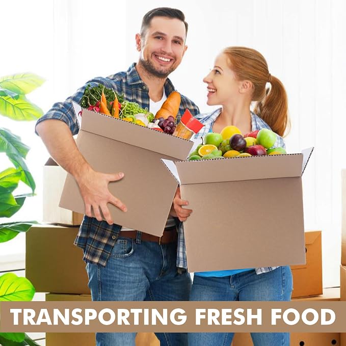 12 Pack 11x6.6x5.9 Inch Insulated Shipping Boxes for Shipping Frozen Food | Cold Shipping Boxes, Large Foil Cooler Carton Moving Kits for Mailing Packing, , Carton Material with Aluminum Foil