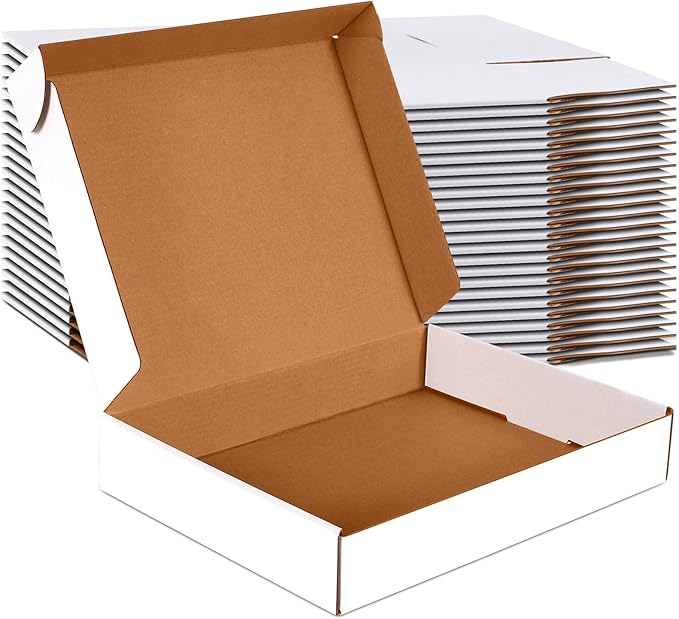 12x9x2 inch Small Shipping Boxes Set of 25, White Corrugated Cardboard Box Literature Mailer for Mailing Packing Moving and Storage