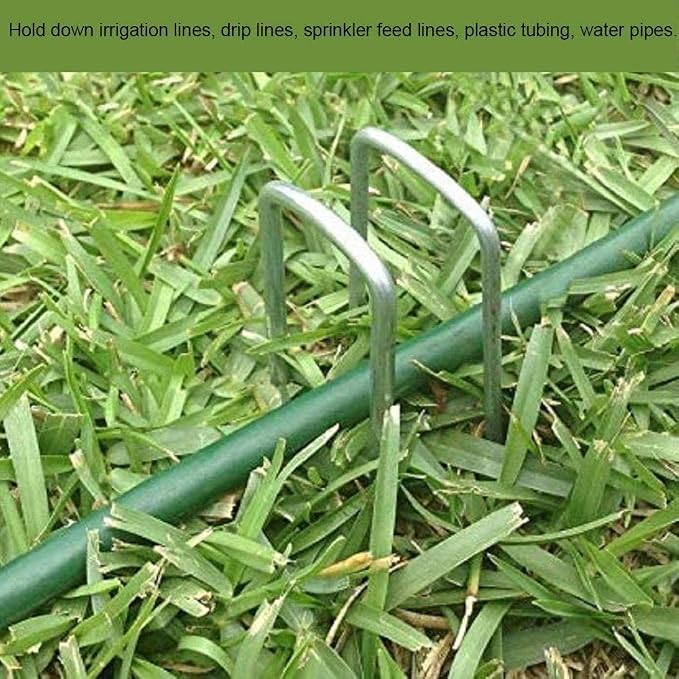 Landscape Staples 6 Inch Galvanized Anti-Rust Garden Stakes 11 Gauge | 50 Pack Sod Yard Pins Heavy Duty Lawn Stake for Fence, Weed Barrier Fabric, Ground Cover, Ground Decorations, Chicken Wire