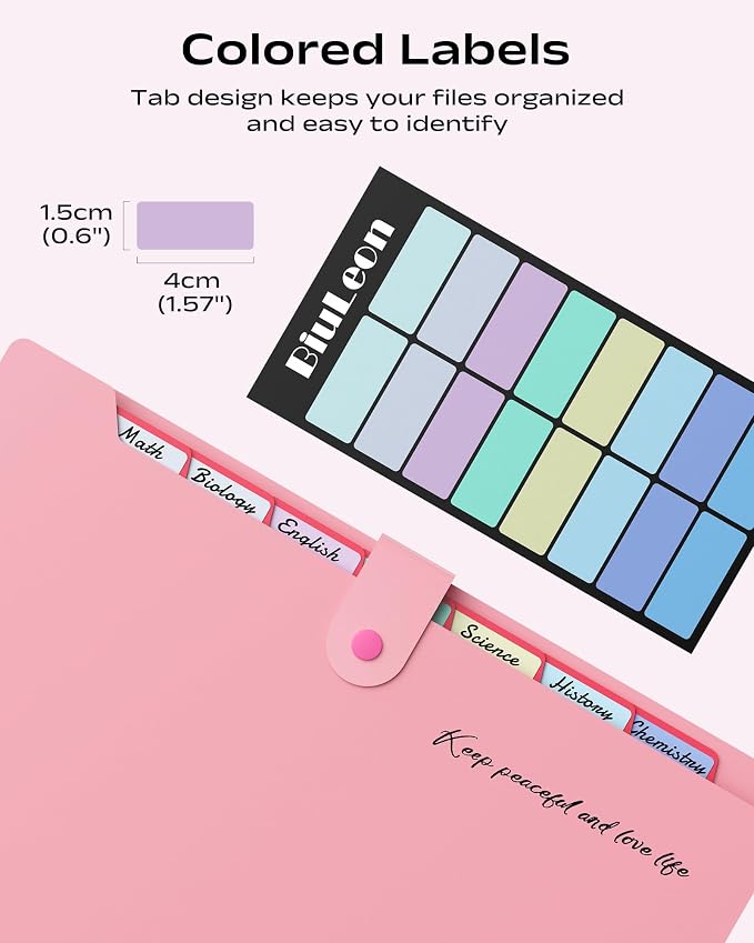 2 Pack Accordion File Organizer, 8 Pockets Expanding File Folder with Labels, Portable Document Paper Receipt Organizer for School Office Hospital, Letter/A4 Size Pink